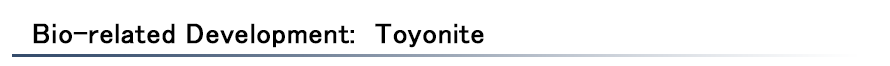 Toyonite Toyonite